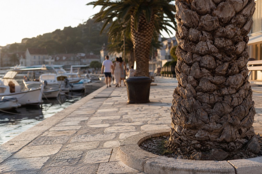 Stone harbour front with palm trees and moored boats at dusk