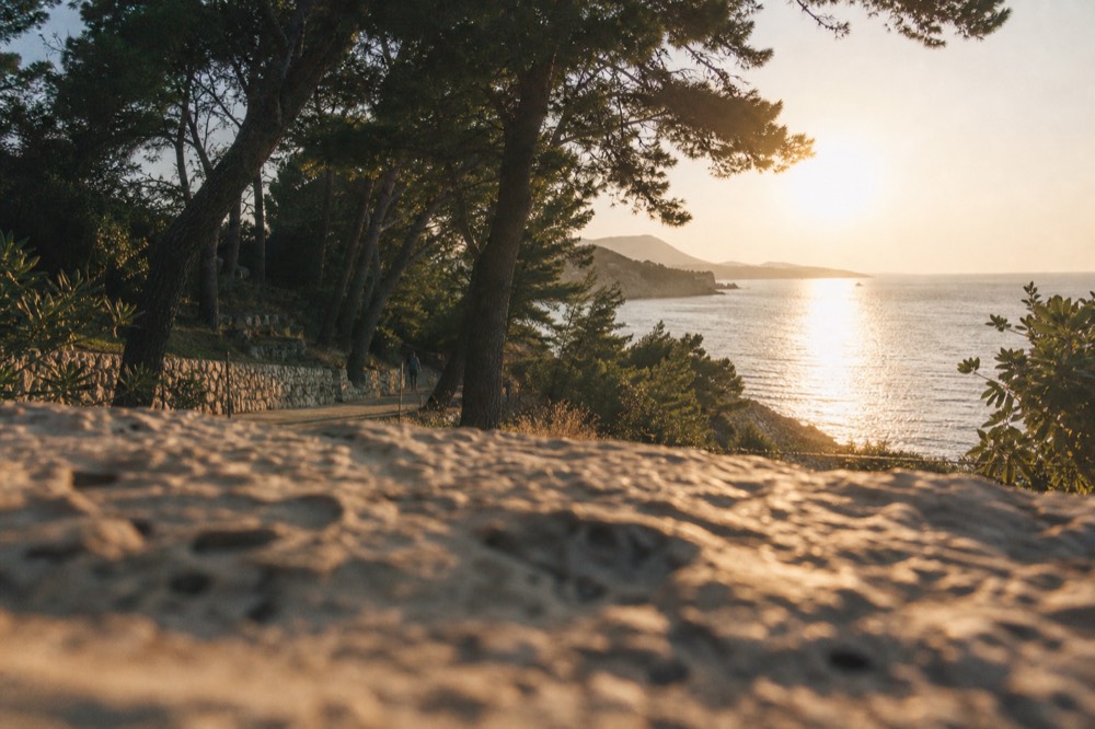 Sunset over the sea seen from a coastal path with silhouetted pines