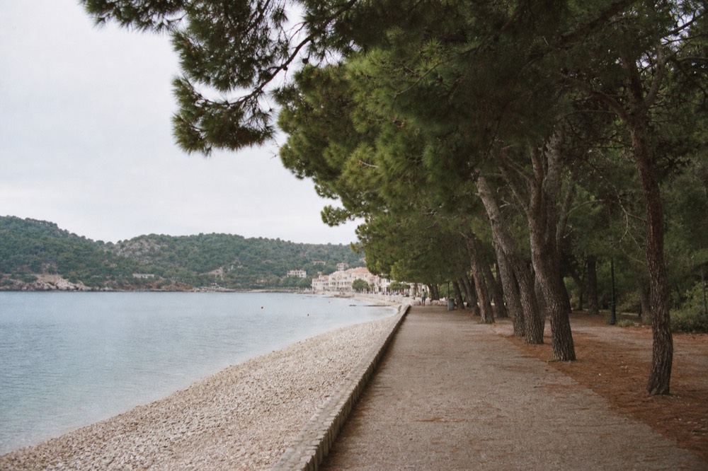 A shaded coastal promenade with pine trees and a pebble beach beside calm water