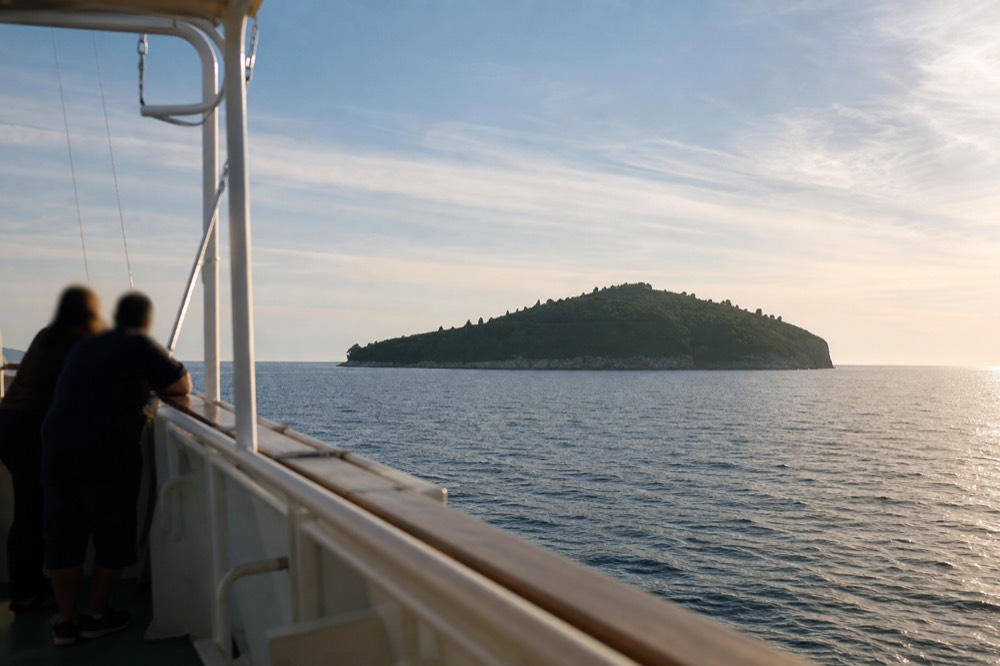 A green forested island seen across open water from a boat deck