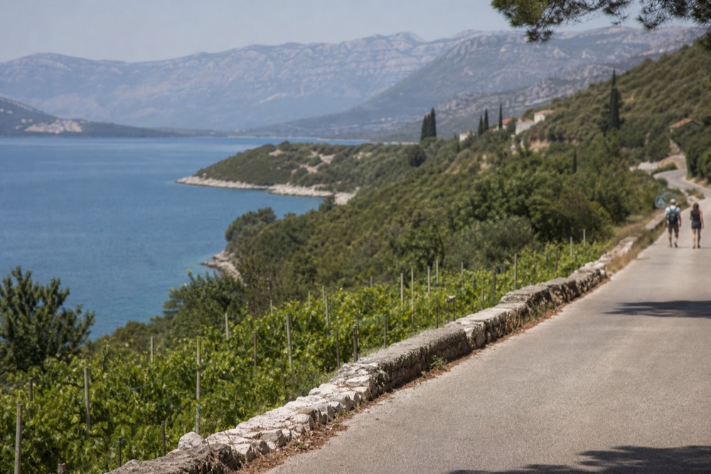 A winding road through the Pelješac peninsula with vineyards on one side and the blue Adriatic on the other