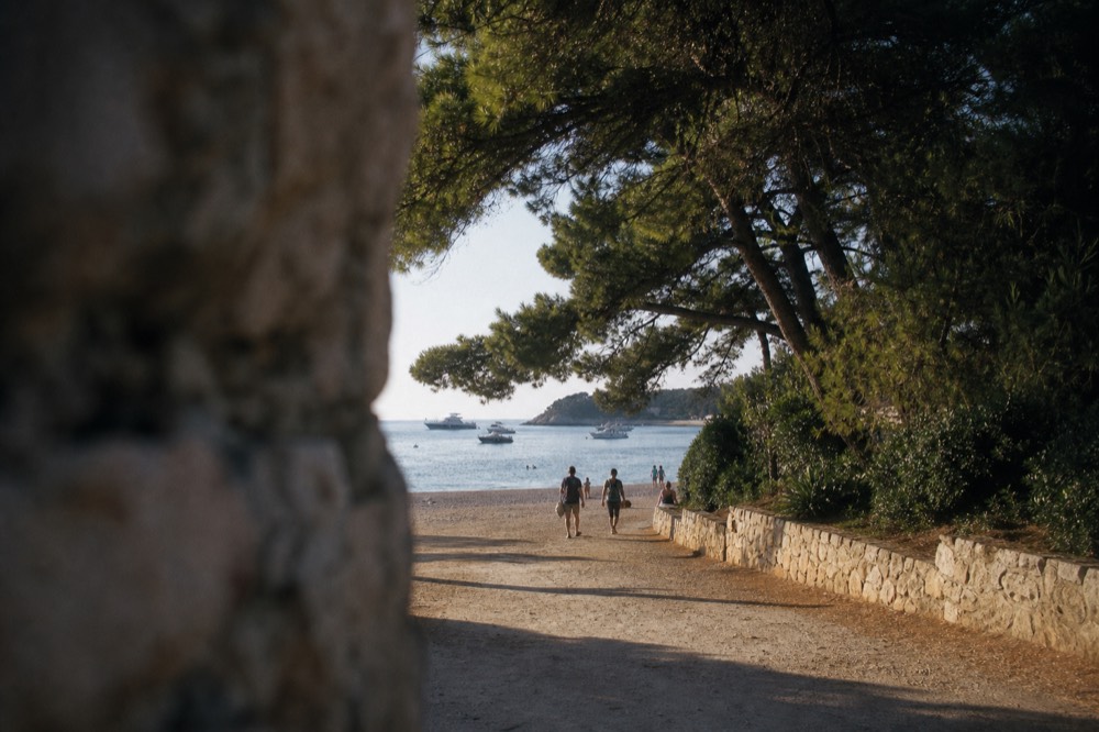A seaside promenade with pine trees leading toward a sandy beach and calm sea