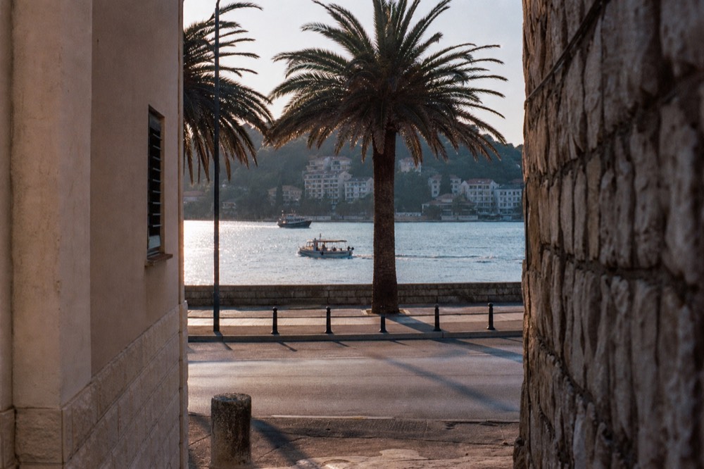 Waterside promenade along Lapad bay with palm trees and apartment buildings