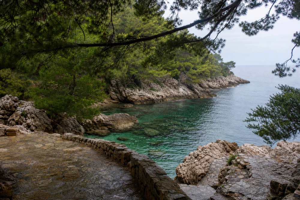 A quiet rocky cove on Lokrum island with pine trees over clear green water