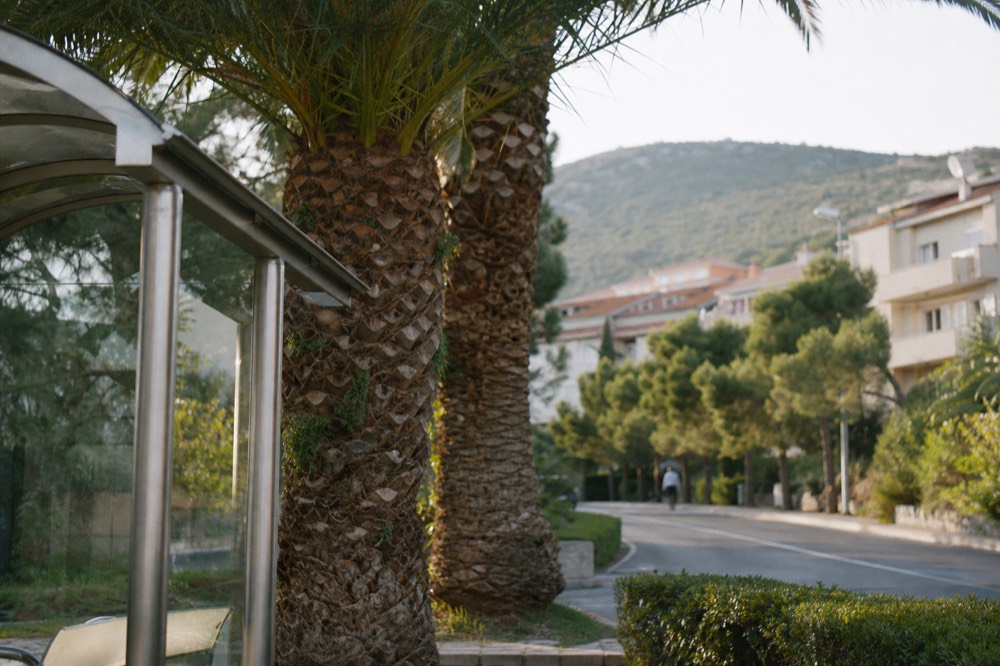 Bus stop in Lapad with palm trees and apartment buildings