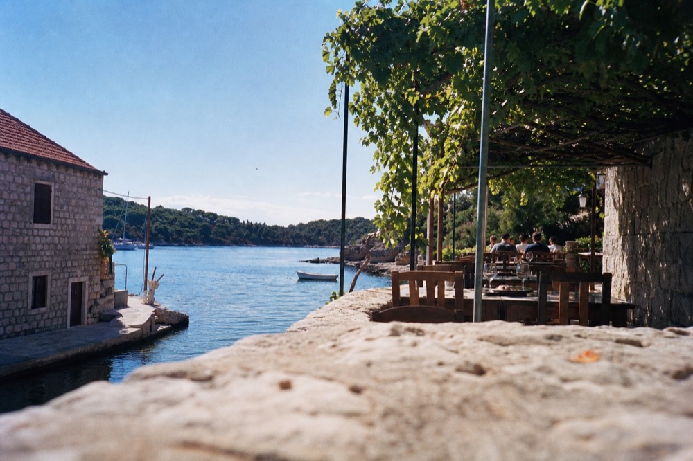 A simple island taverna terrace with tables under grape vines