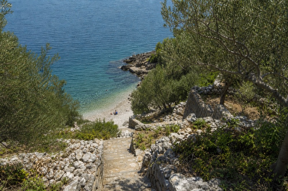 Olive groves and low stone walls covering a green island hillside above the sea