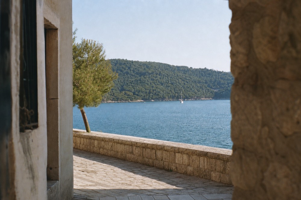 A wooded island nature reserve seen across open water from a city harbour