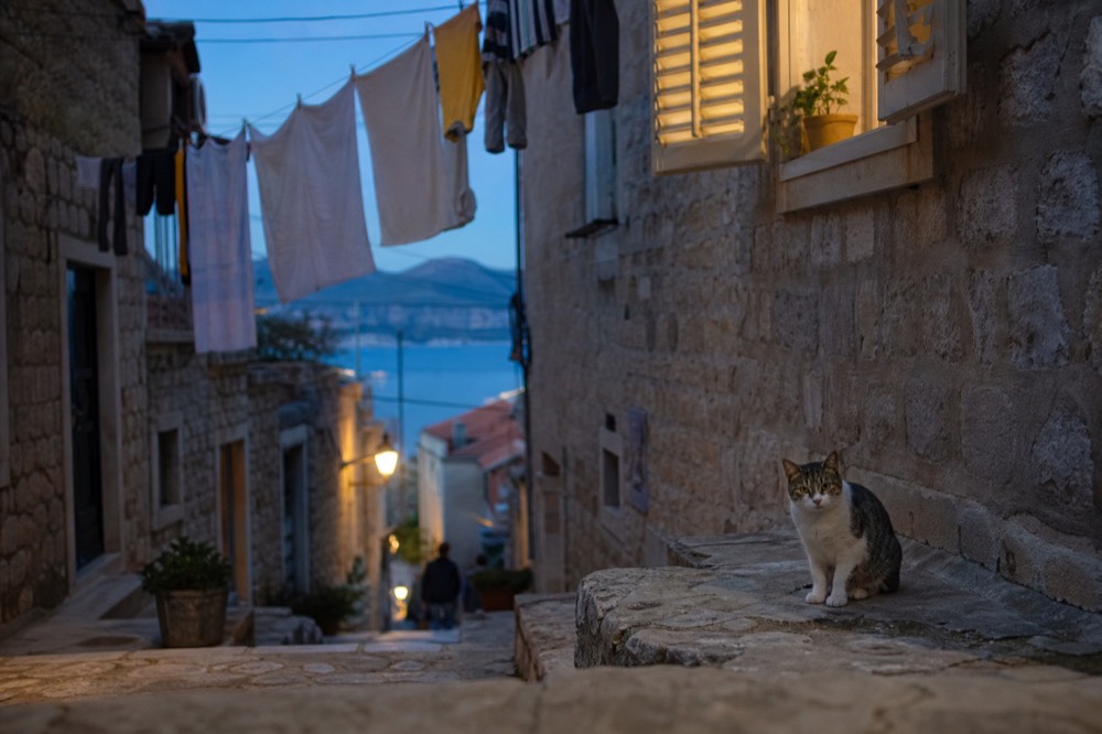 A shaded stone street with laundry hanging above and a cat sitting on a step