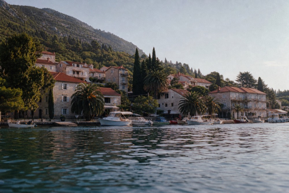 A small harbour town waterfront with palm trees and moored boats