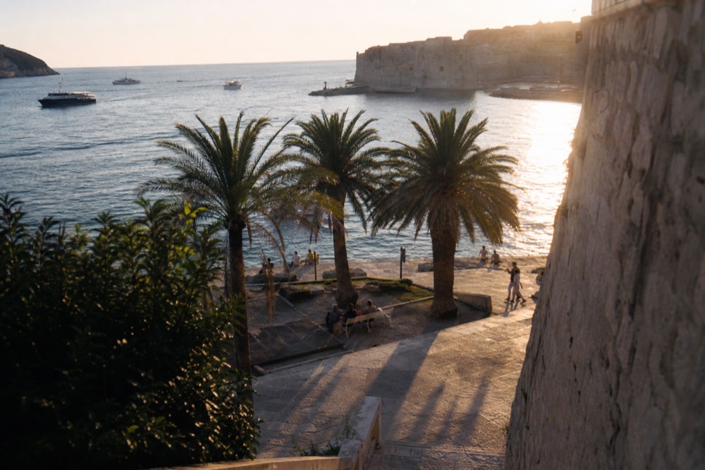 Shaded seaside promenade with palm trees and calm water