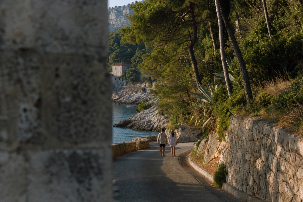 A narrow coastal road curving between stone walls and pine trees above the sea